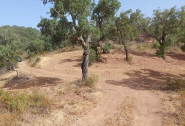 Portugalia, Comporta / Alentejo Coast, Melides