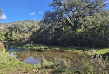 Portugalia, Comporta / Alentejo Coast, Melides
