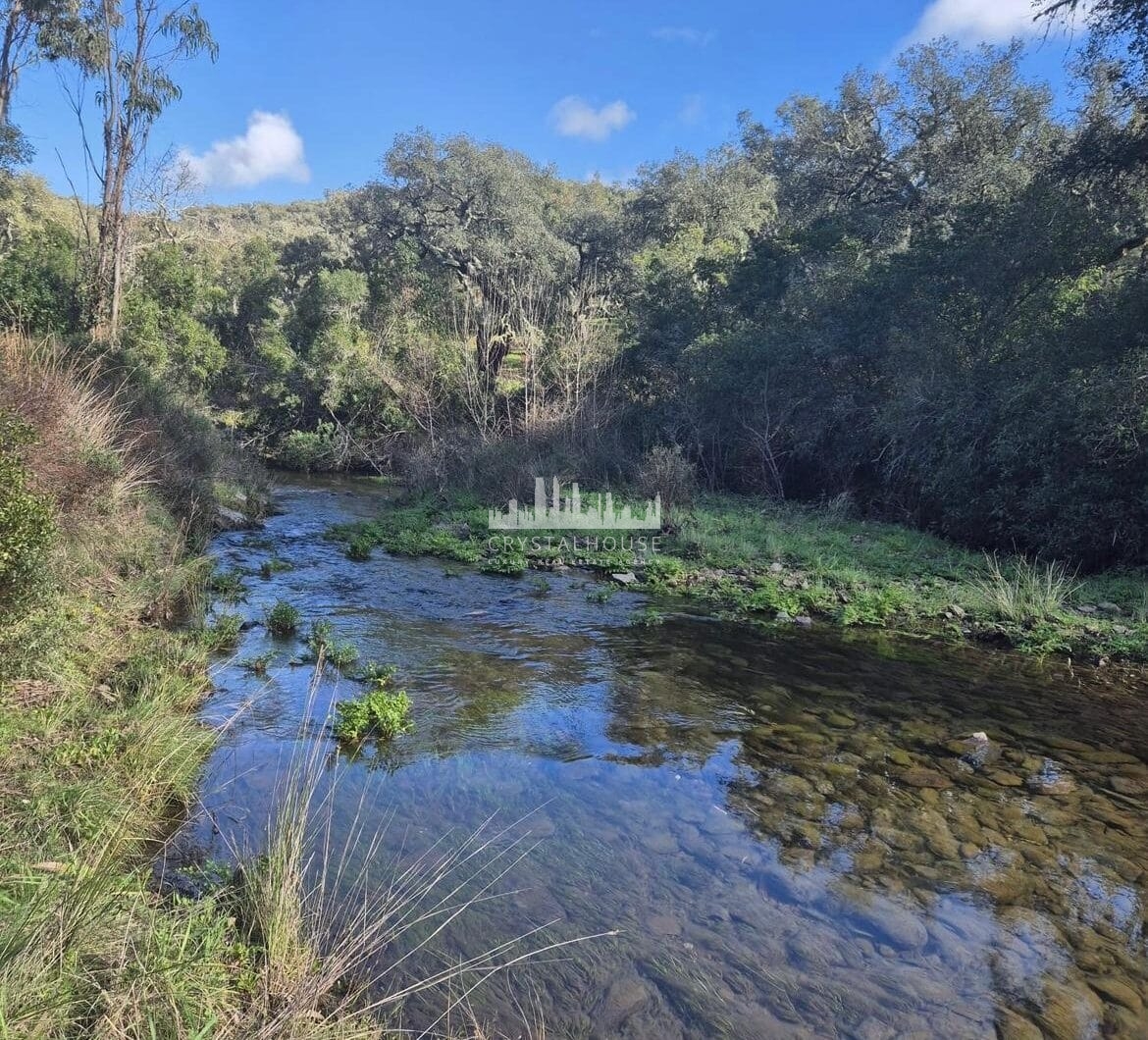 Portugalia, Comporta / Alentejo Coast, Melides