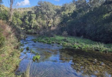 Portugalia, Comporta / Alentejo Coast, Melides