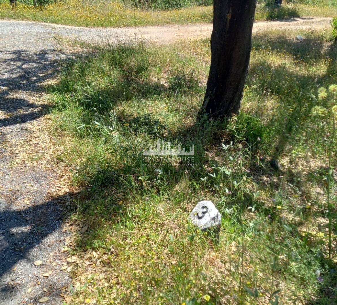 Portugalia, Comporta / Alentejo Coast, Melides