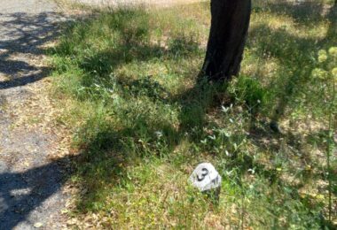 Portugalia, Comporta / Alentejo Coast, Melides