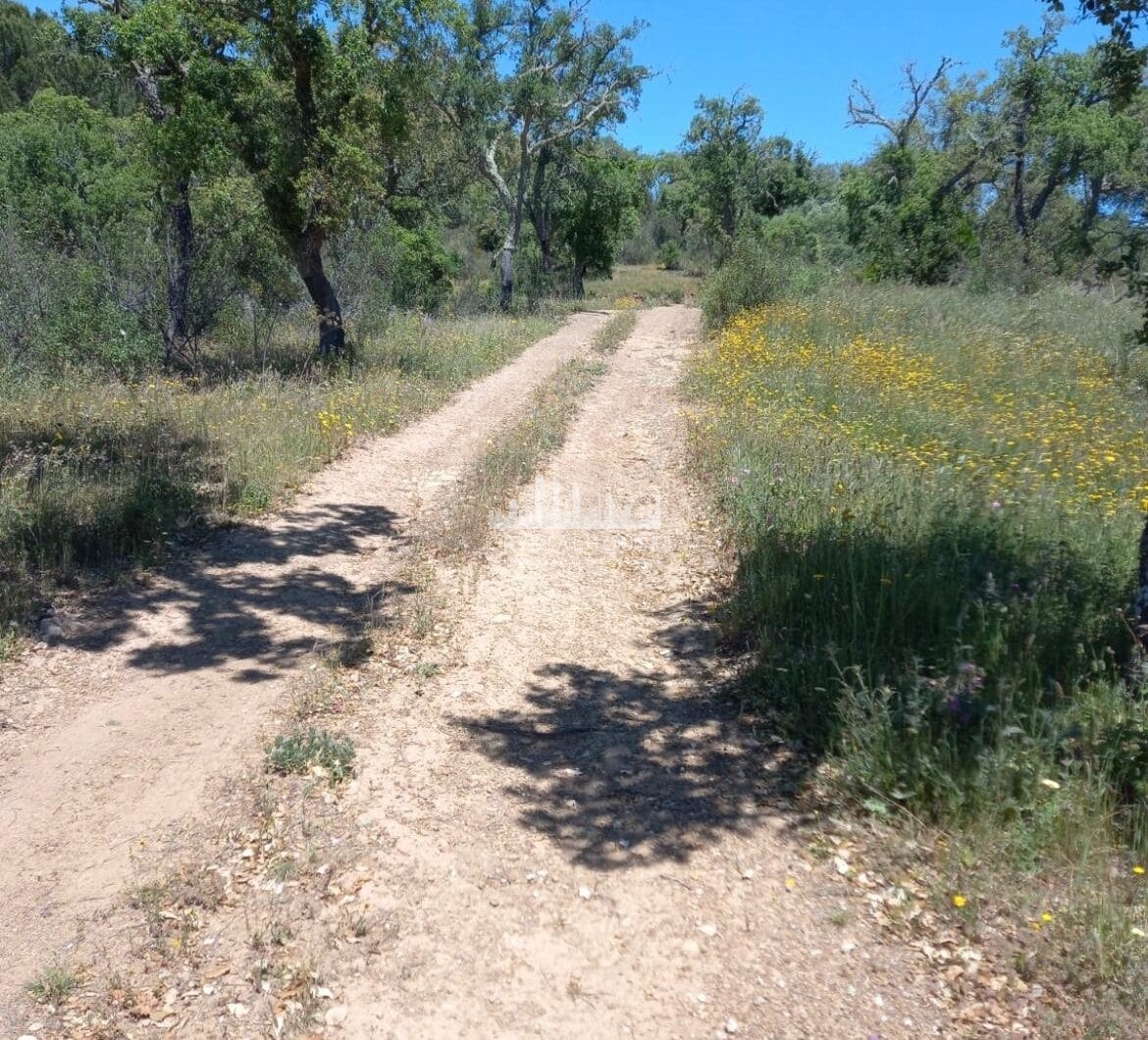 Portugalia, Comporta / Alentejo Coast, Melides