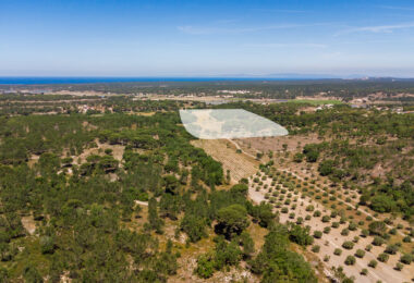 Portugalia, Comporta / Alentejo Coast, Melides