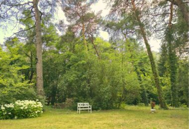 Unikatowa willa Marconiego pod Warszawą z ogrodem