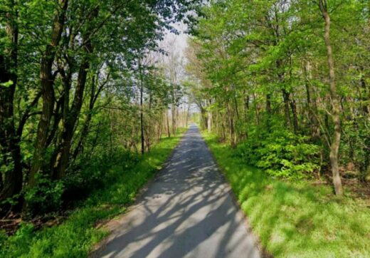 Działka z potencjałem Pasikonie/Kampinos