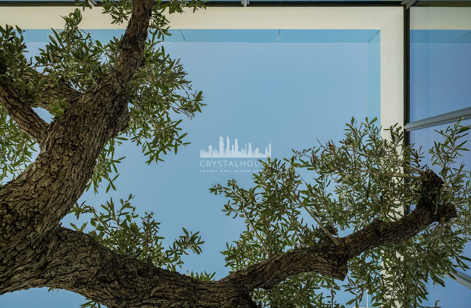 Ekskluzywna willa z 4 sypialniami i basenem na dachu