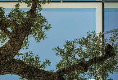 Ekskluzywna willa z 4 sypialniami i basenem na dachu