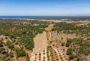 Portugalia, Comporta / Alentejo Coast, Melides
