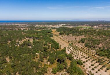 Portugalia, Comporta / Alentejo Coast, Melides
