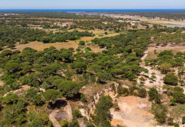 Portugalia, Comporta / Alentejo Coast, Melides
