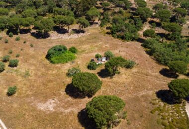 Portugalia, Comporta / Alentejo Coast, Melides