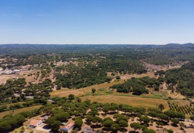 Portugalia, Comporta / Alentejo Coast, Melides