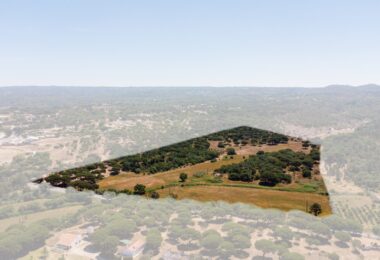 Portugalia, Comporta / Alentejo Coast, Melides