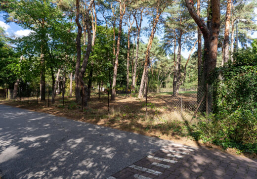 Unikatowa działka przy rezerwacie w Radości z WZ