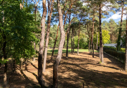 Unikatowa działka przy rezerwacie w Radości z WZ