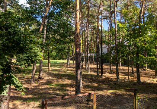 Unikatowa działka przy rezerwacie w Radości z WZ