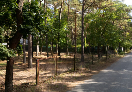 Unikatowa działka przy rezerwacie w Radości z WZ