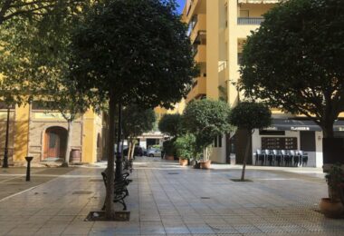 Gran Local Comercial z nieskończonymi możliwościami - San Pedro de Alcántara