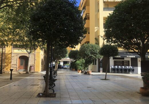 Gran Local Comercial z nieskończonymi możliwościami - San Pedro de Alcántara