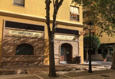 Gran Local Comercial z nieskończonymi możliwościami - San Pedro de Alcántara