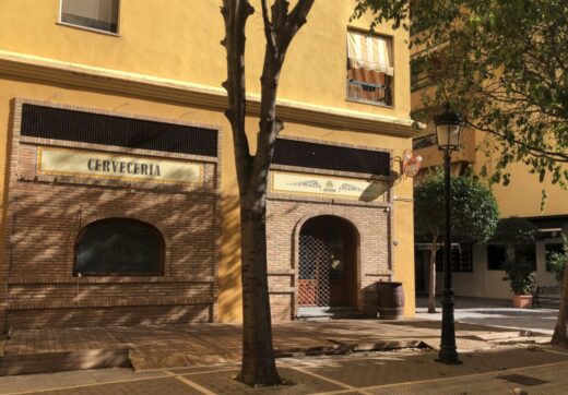 Gran Local Comercial z nieskończonymi możliwościami - San Pedro de Alcántara