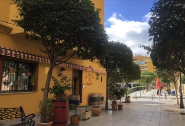 Gran Local Comercial z nieskończonymi możliwościami - San Pedro de Alcántara