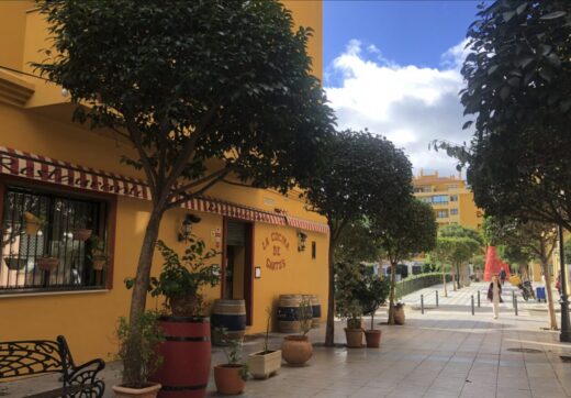 Gran Local Comercial z nieskończonymi możliwościami - San Pedro de Alcántara