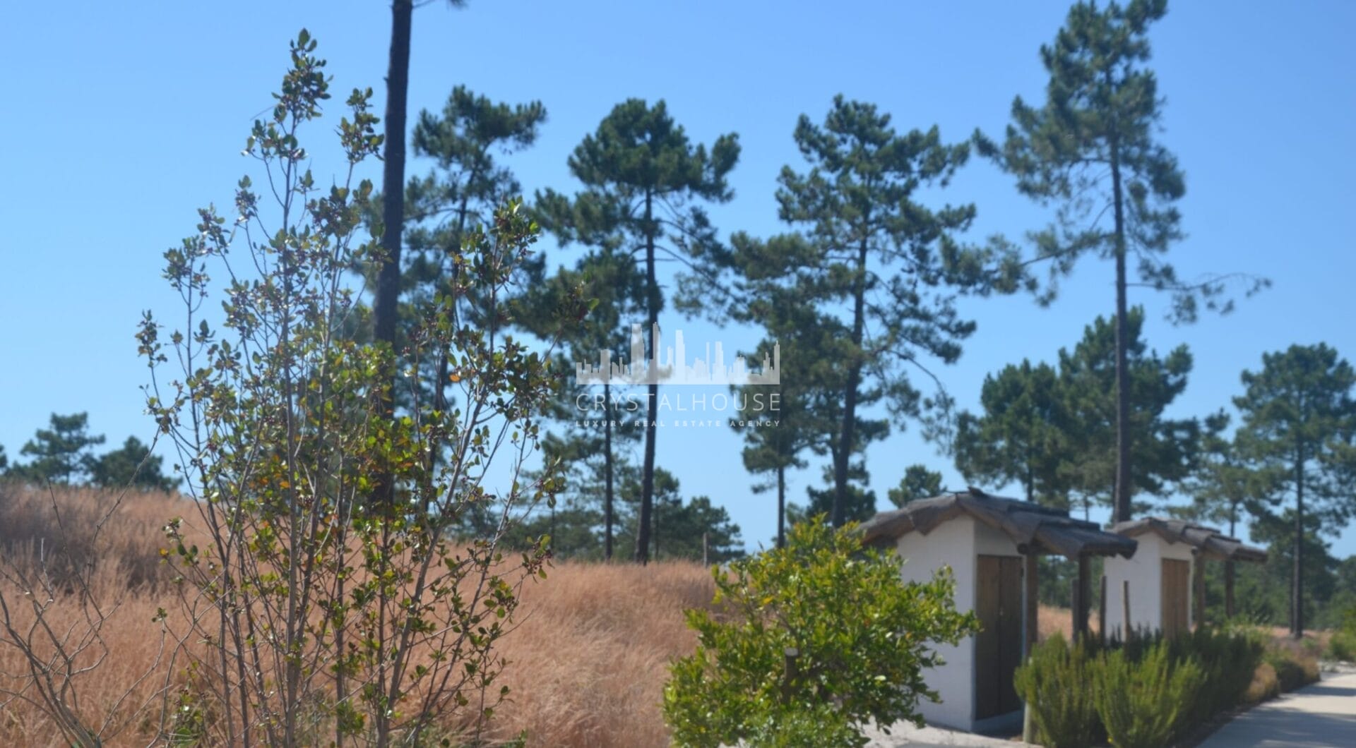 Portugalia, Comporta / Alentejo Coast, Pego