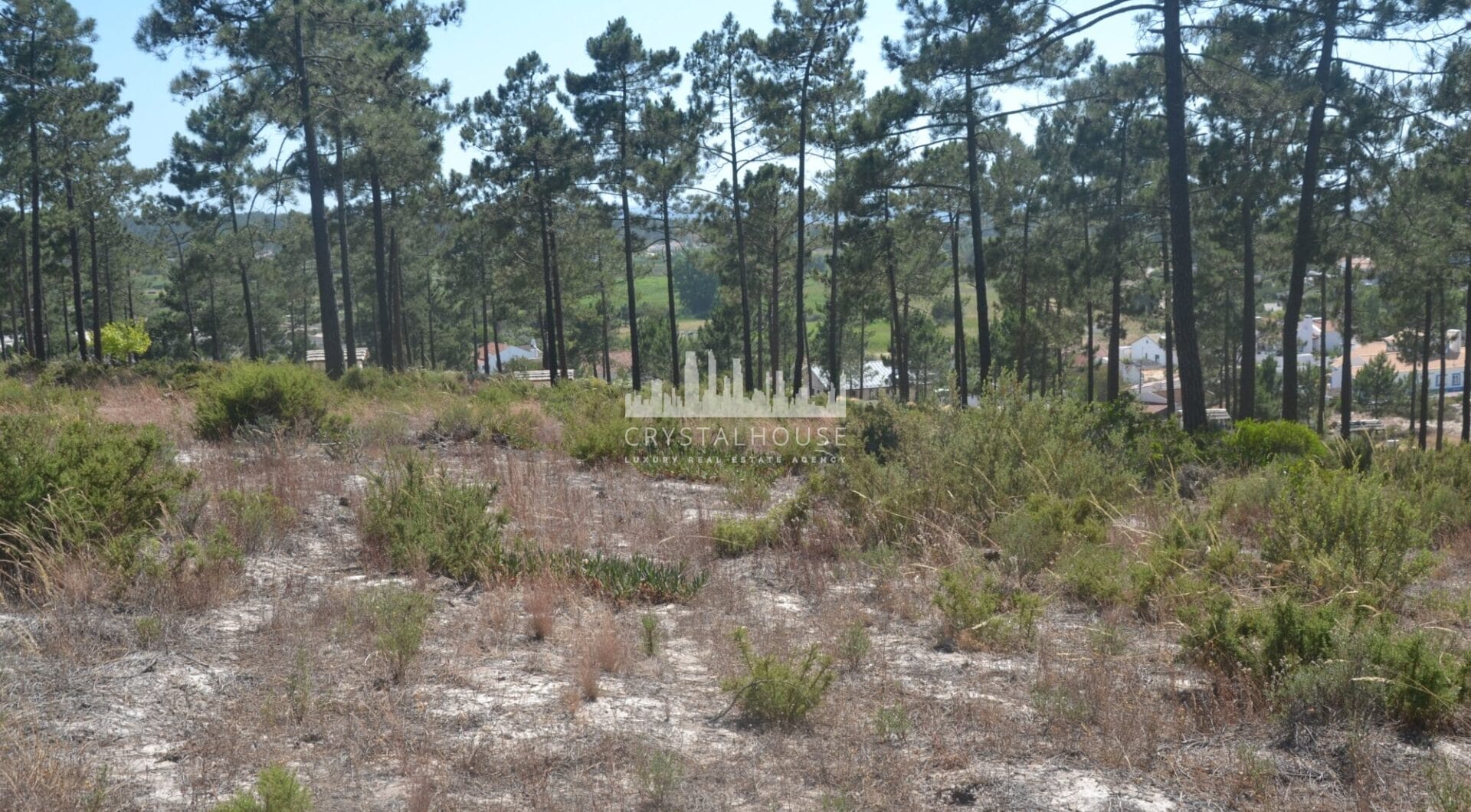 Portugalia, Comporta / Alentejo Coast, Pego