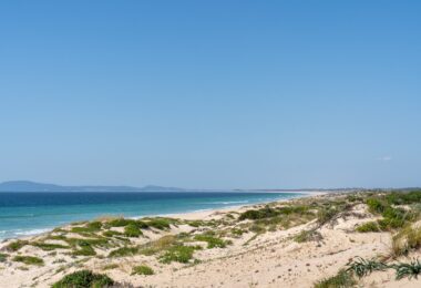 Portugalia, Comporta / Alentejo Coast, Pego