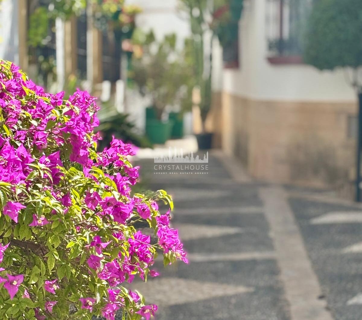 Hiszpania, Estepona, Estepona Town