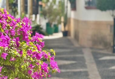 Hiszpania, Estepona, Estepona Town