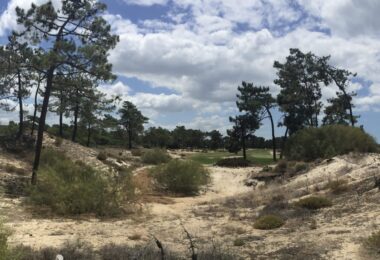 Portugalia, Comporta / Alentejo Coast, Troia