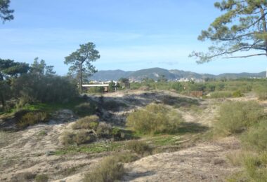 Portugalia, Comporta / Alentejo Coast, Troia