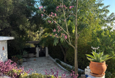 Hiszpania, Estepona, Estepona East
