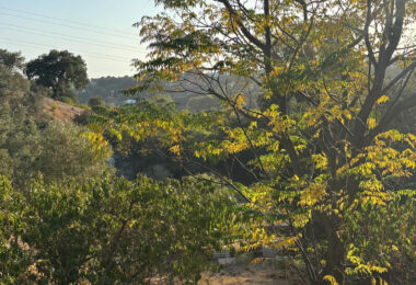 Hiszpania, Estepona, Estepona East