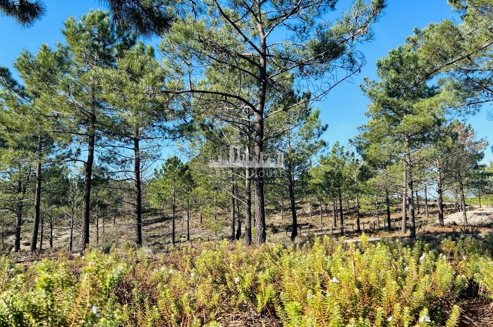 Portugalia, Comporta / Alentejo Coast, Carvalhal