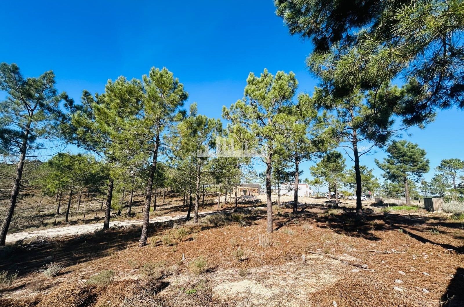 Portugalia, Comporta / Alentejo Coast, Carvalhal