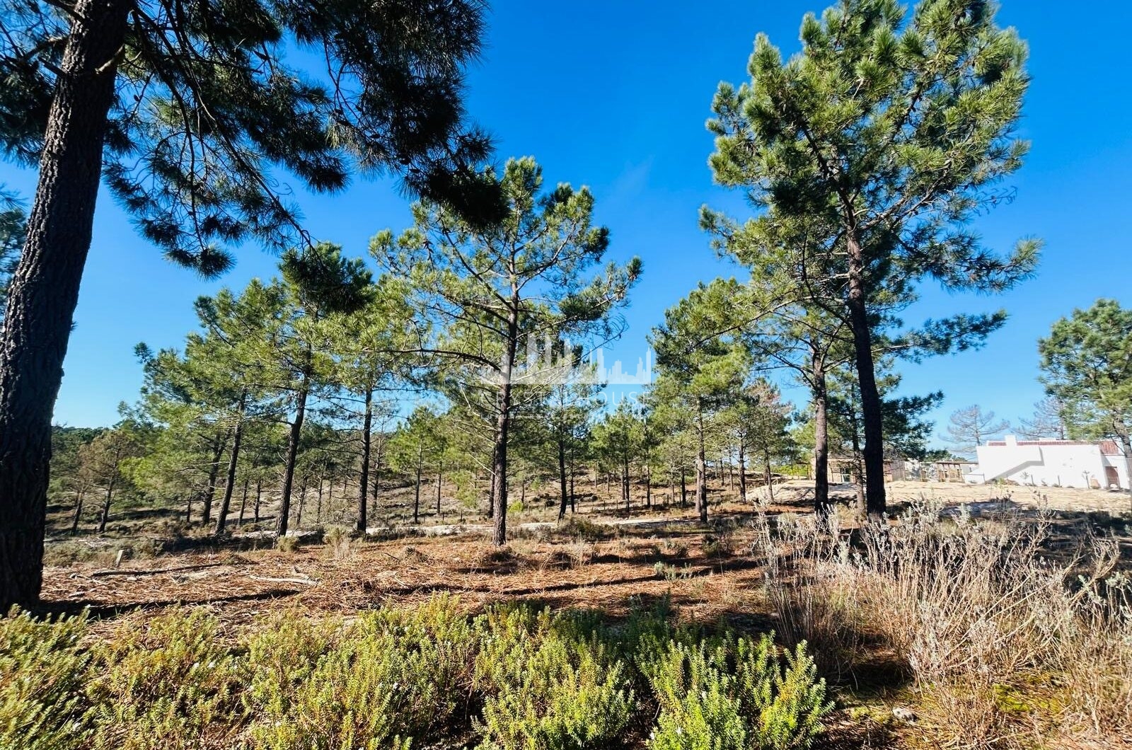 Portugalia, Comporta / Alentejo Coast, Carvalhal