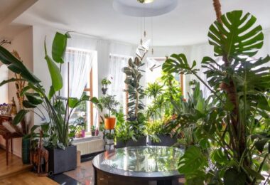 Elegancka Rezydencja z basenem, Ursynów