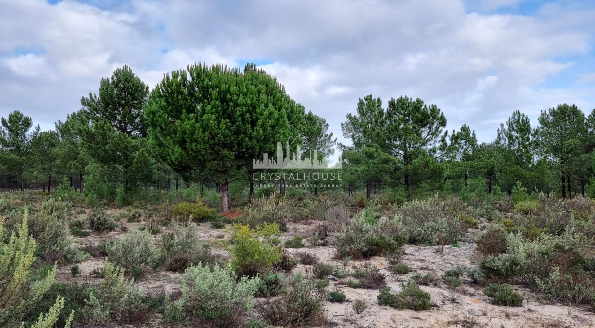 Portugalia, Comporta / Alentejo Coast, Muda