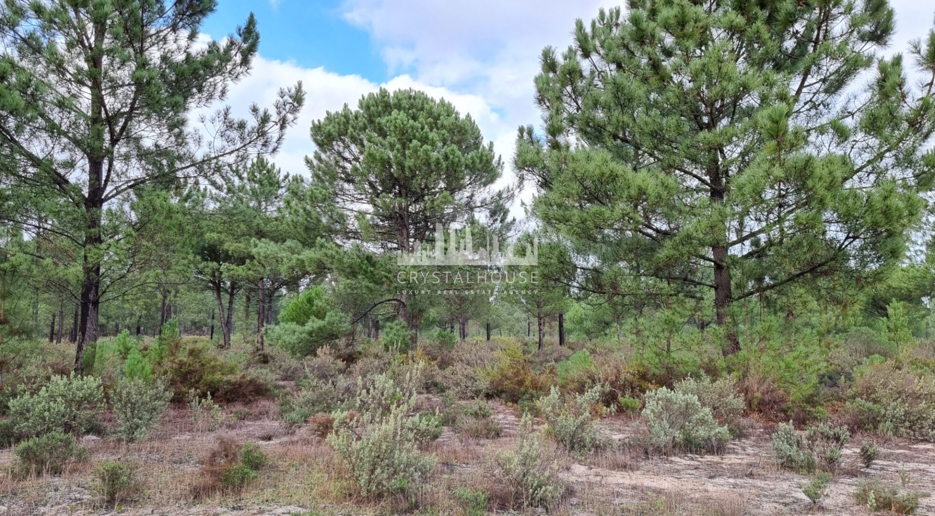 Portugalia, Comporta / Alentejo Coast, Muda
