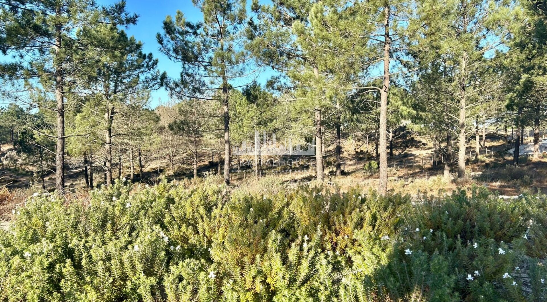 Portugalia, Comporta / Alentejo Coast, Carvalhal
