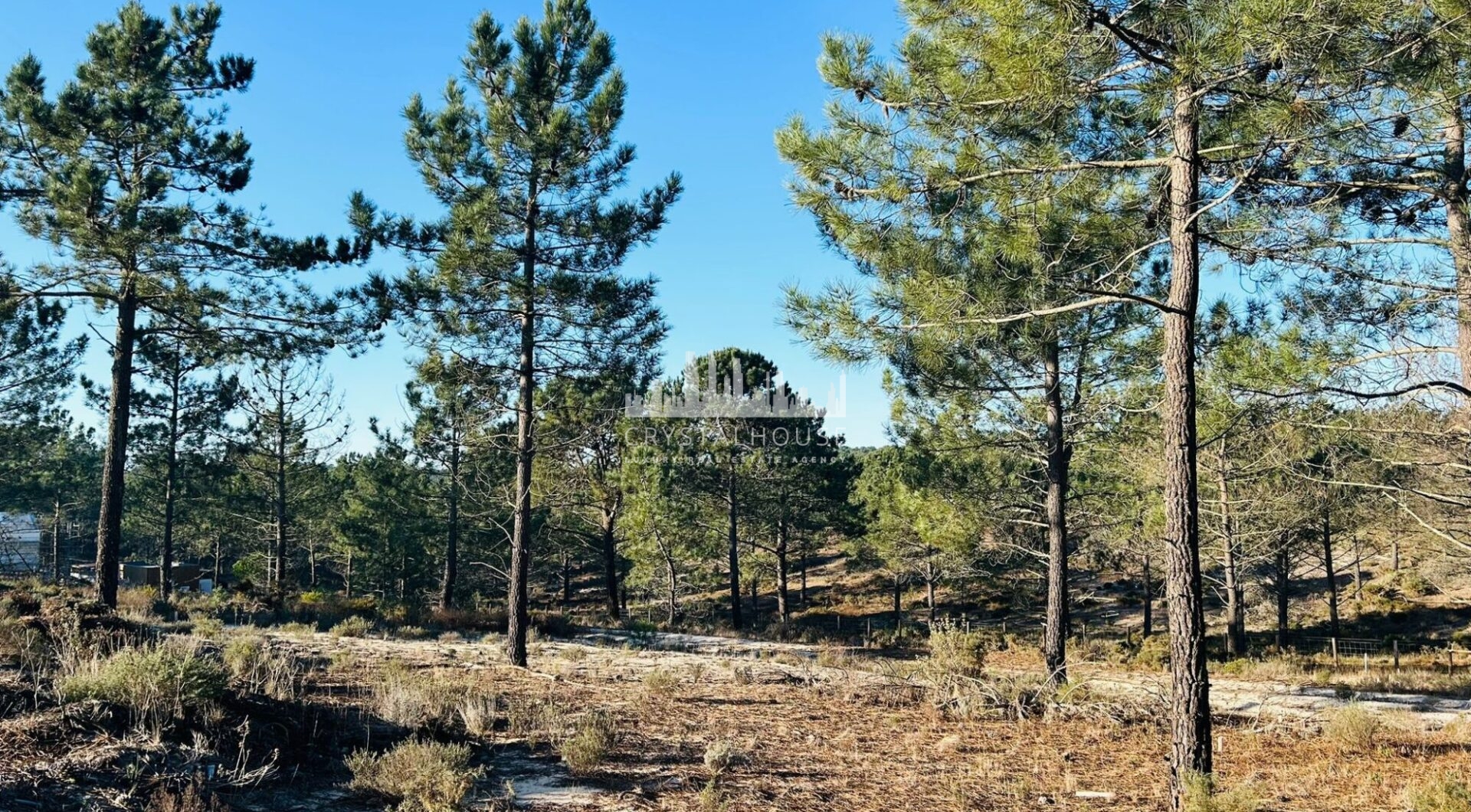 Portugalia, Comporta / Alentejo Coast, Carvalhal