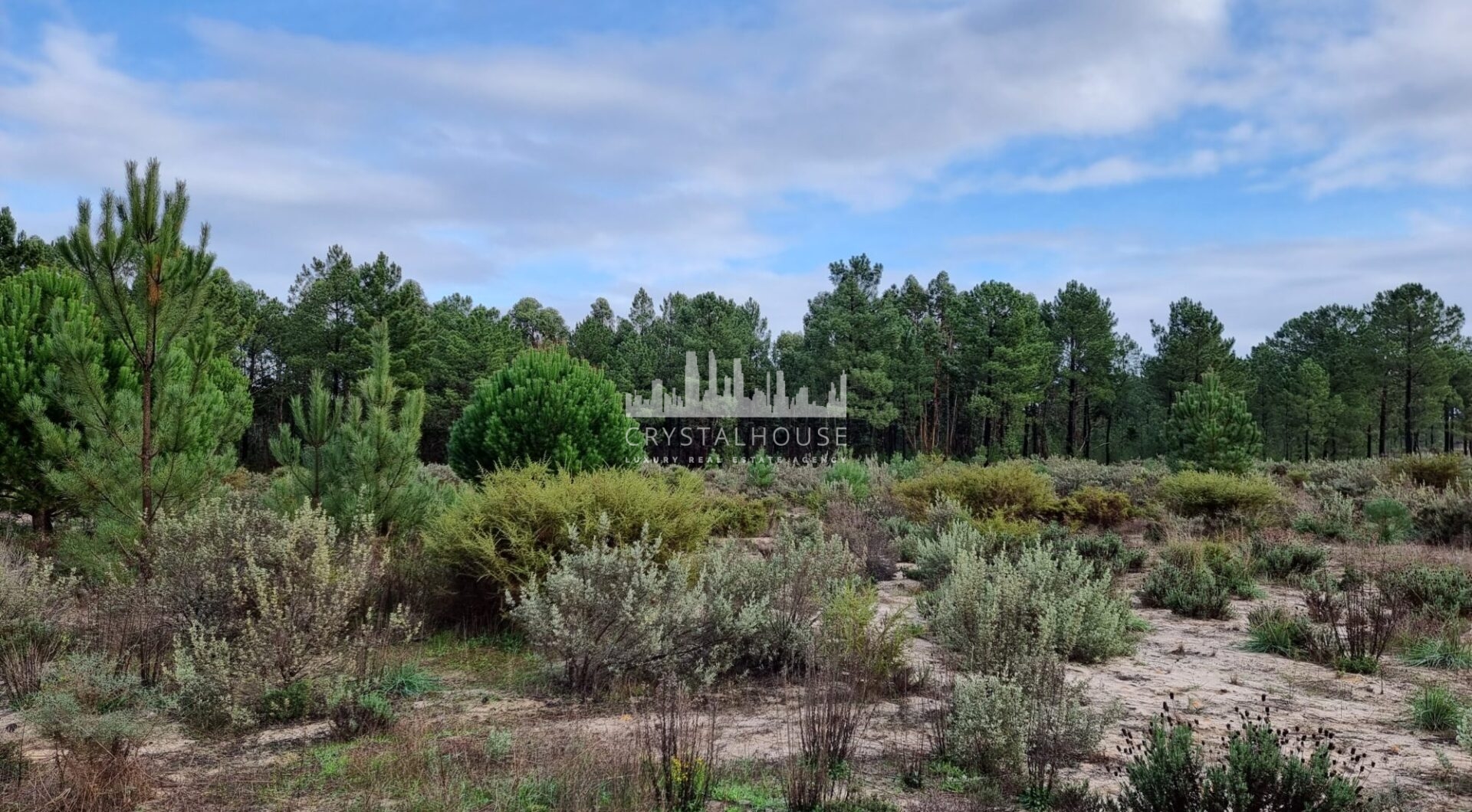Portugalia, Comporta / Alentejo Coast, Muda