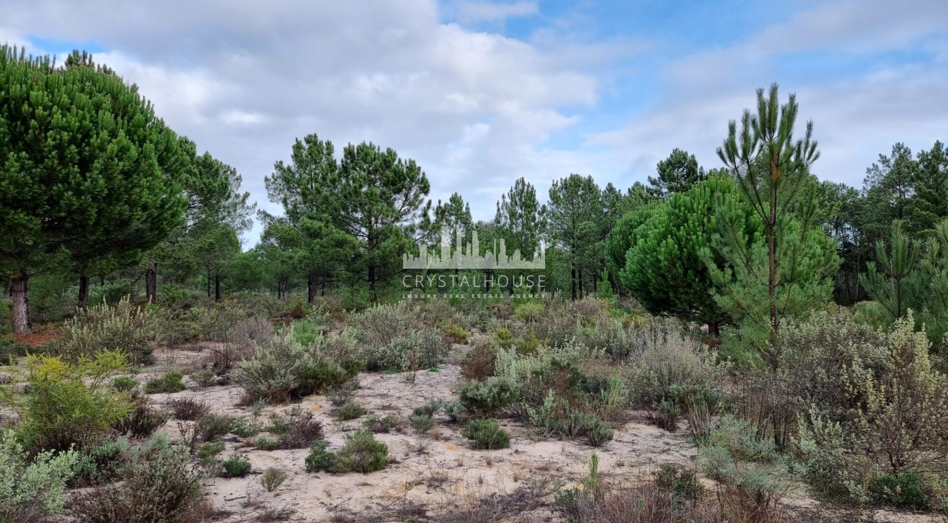Portugalia, Comporta / Alentejo Coast, Muda