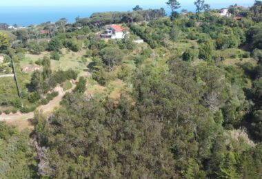 Portugalia, Sintra, Colares