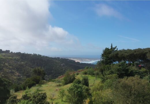 Portugalia, Sintra, Colares