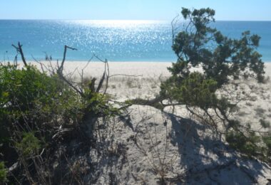 Portugalia, Comporta / Alentejo Coast, Troia